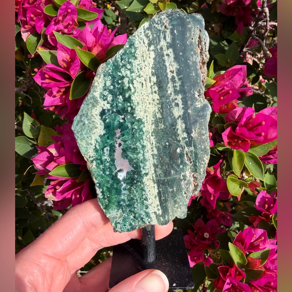 Ocean Jasper Rock on Stand